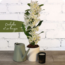 Fleuriste mariage Nancy : livraison de bouquet de fleurs Poséidon & sa bougie parfumée