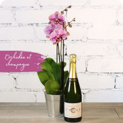 Fleuriste mariage Nancy : livraison de bouquet de fleurs apollon & sa bougie parfumée