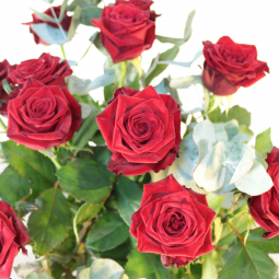 bouquet de roses fleuriste nancy