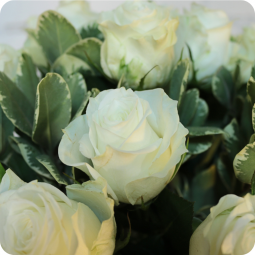 Fleuriste mariage Nancy : livraison de bouquet de fleurs Cocon