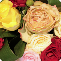 Fleurs anniversaire en bouquet  pour un joyeux anniversaire - livraison gratuite -  Espiègle et son vase offert