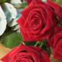 bouquet de roses rouges fleuriste nancy