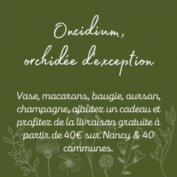 Oncidium, orchidée d'exception Nancy