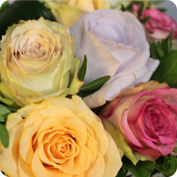 Prélude, panier de roses