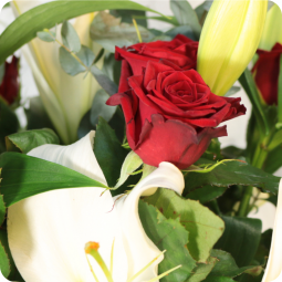 Orphée, bouquet de roses rouges et lys blancs