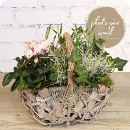 Panier de plantes toussaint