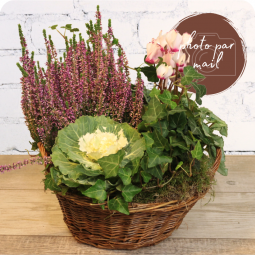 Toussaint, panier de plantes livraison nancy vandoeuvre