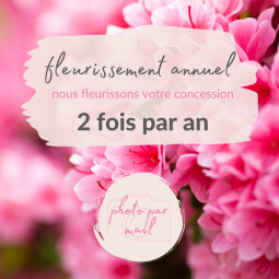 Fleurissement de tombe