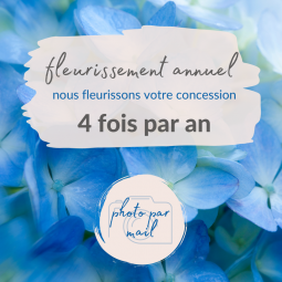 Fleurissement de tombe
