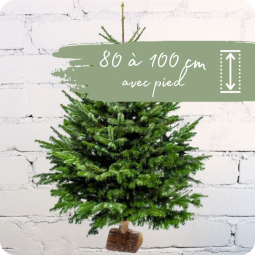 Fleuriste livraison sapin Nancy