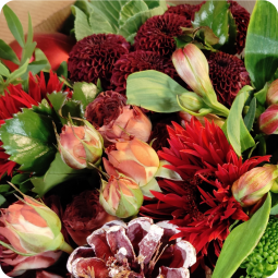 livraison fleurs nancy