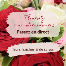 livraison de fleurs vandoeuvre