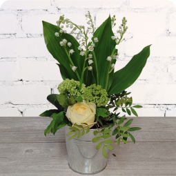 Brindille, composition de muguet - fleuriste muguet à Nancy
