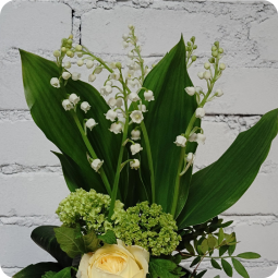 Brindille, composition de muguet - fleuriste muguet à Nancy