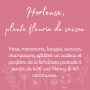 Fleurs anniversaire en bouquet  pour un joyeux anniversaire - livraison gratuite -  bouquet de fleurs Hortense