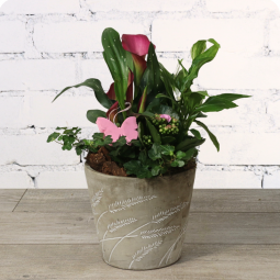 Fleuriste Villers - Fleurs anniversaire en bouquet  pour un joyeux anniversaire - livraison gratuite - Arum rose