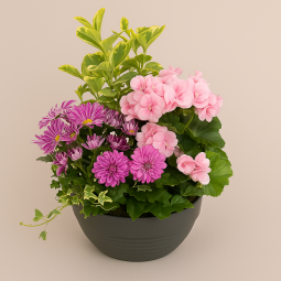 Fleurs deuil, deces et enterrement Nancy par fleuriste Interflora  Coupe de plantes d'extérieur Souvenir