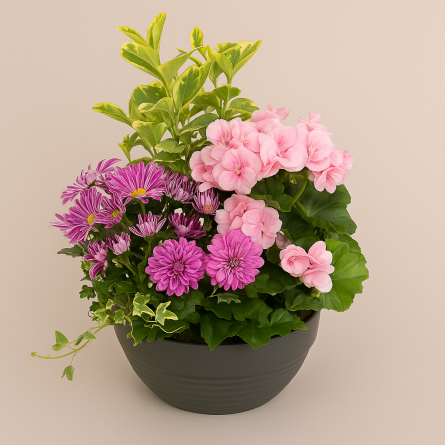 Fleurs deuil, deces et enterrement Nancy par fleuriste Interflora Coupe de plantes d'extérieur Souvenir Fleurs deuil, deces et enterrement Nancy par fleuriste Interflora Coupe de plantes d'extérieur Souvenir