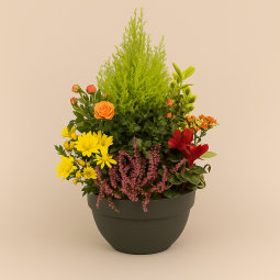 Fleurs deuil, deces et enterrement Nancy par fleuriste Interflora  Coupe de plantes d'extérieur Eyrignac