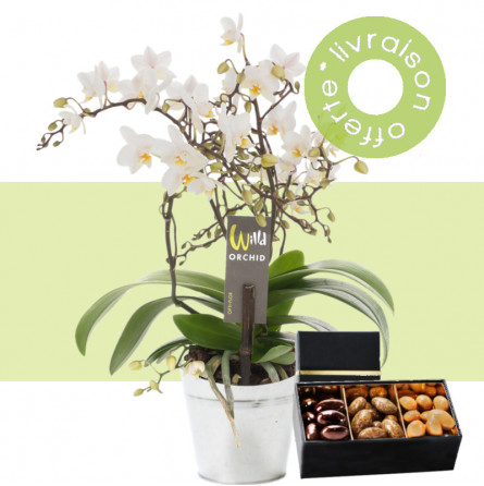 Fleurs anniversaire en bouquet  pour un joyeux anniversaire - livraison gratuite -  Orchidée papillon & Chocolat