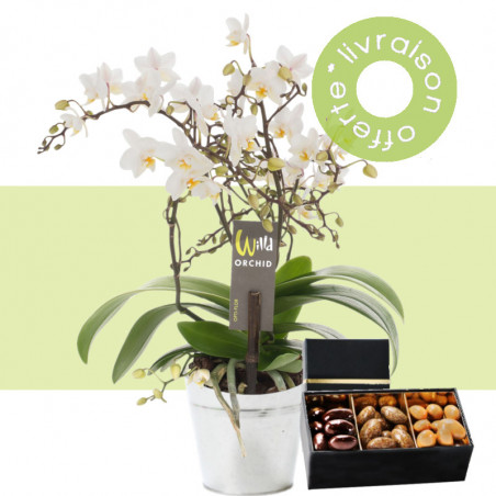 Fleurs anniversaire en bouquet  pour un joyeux anniversaire - livraison gratuite -  Orchidée papillon & Chocolat