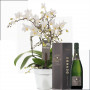 Fleurs anniversaire en bouquet  pour un joyeux anniversaire ou un mariage- livraison gratuite -  Orchidée papillon & Champagne