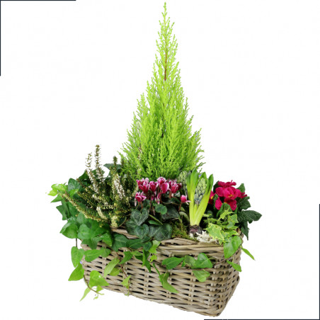 Fleurs deuil, deces et enterrement Nancy par fleuriste Interflora : Boréale, jardin de plantes