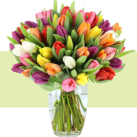 Méli-mélo, mélange de joyeuses tulipes Méli-mélo, mélange de joyeuses tulipes