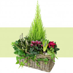 Fleurs anniversaire en bouquet  pour un joyeux anniversaire - livraison gratuite -  Jardinière de printemps Primavera