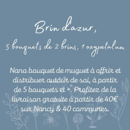 Brin d'azur, petit bouquet de 2 brins de muguet et oxypetalum - fleuriste muguet à Nancy