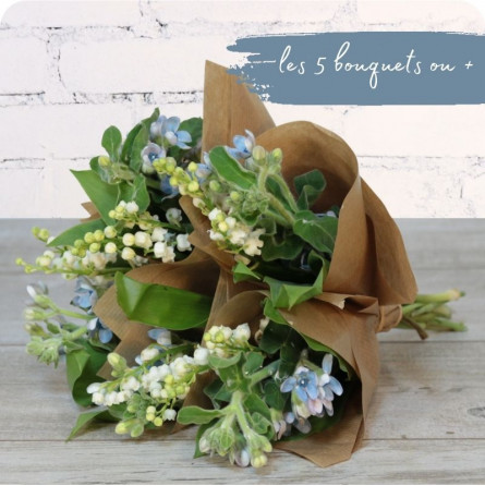 Brin d'azur, petit bouquet de 2 brins de muguet et oxypetalum - fleuriste muguet à Nancy Brin d'azur, petit bouquet de 2 brins de muguet et oxypetalum - fleuriste muguet à Nancy