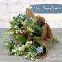 Brin d'azur, petit bouquet de 2 brins de muguet et oxypetalum - fleuriste muguet à Nancy