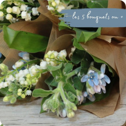 Brin d'azur, petit bouquet de 2 brins de muguet et oxypetalum - fleuriste muguet à Nancy