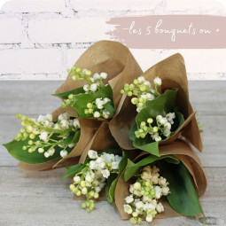 Brin trio, bouquet de 3 brins de muguet - fleuriste muguet à Nancy