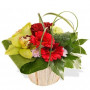 Fleur de naissance - livraison de bouquet de fleurs à Nancy Ange
