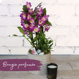 Fleuriste Villers - Cranberry, arrangement d'orchidée livraison ludres